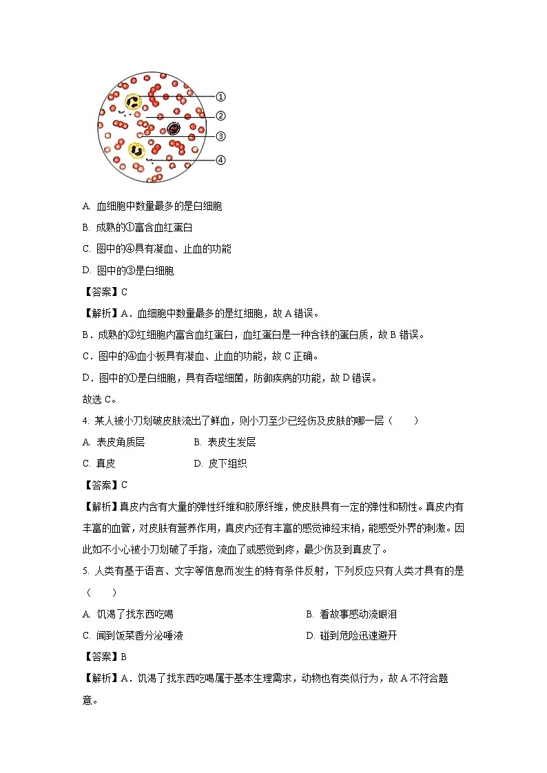 辽宁省抚顺市顺城区2024-2025学年七年级下学期期末生物试题（解析版）第2页