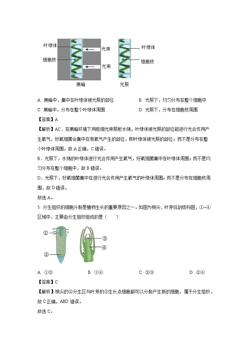 广东省深圳市南山区2024-2025学年七年级下学期期末生物试题（解析版）第3页