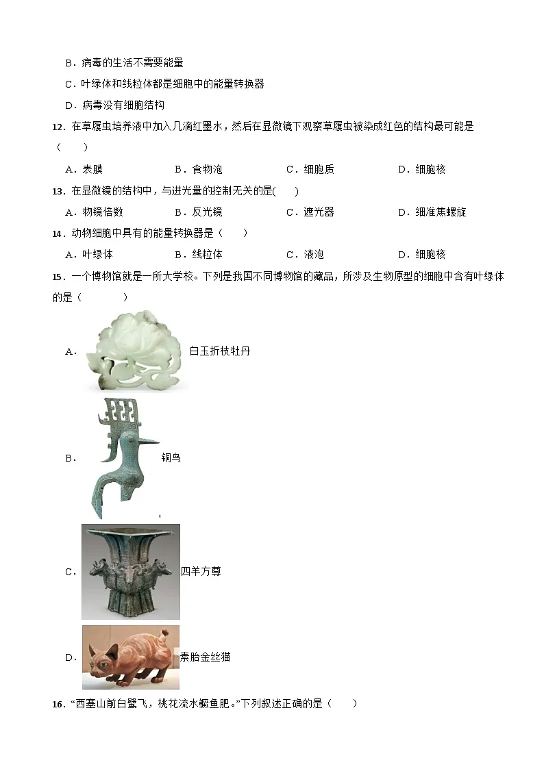 2025-2026北师大2024版生物七年级生物期中基础卷（有答案）第3页