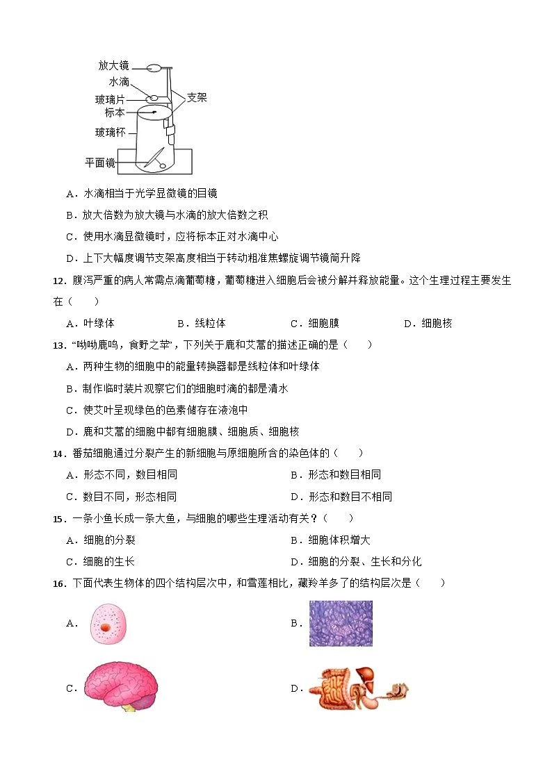 2025-2026北师大2024版生物七年级生物期中培优卷（有答案）第3页
