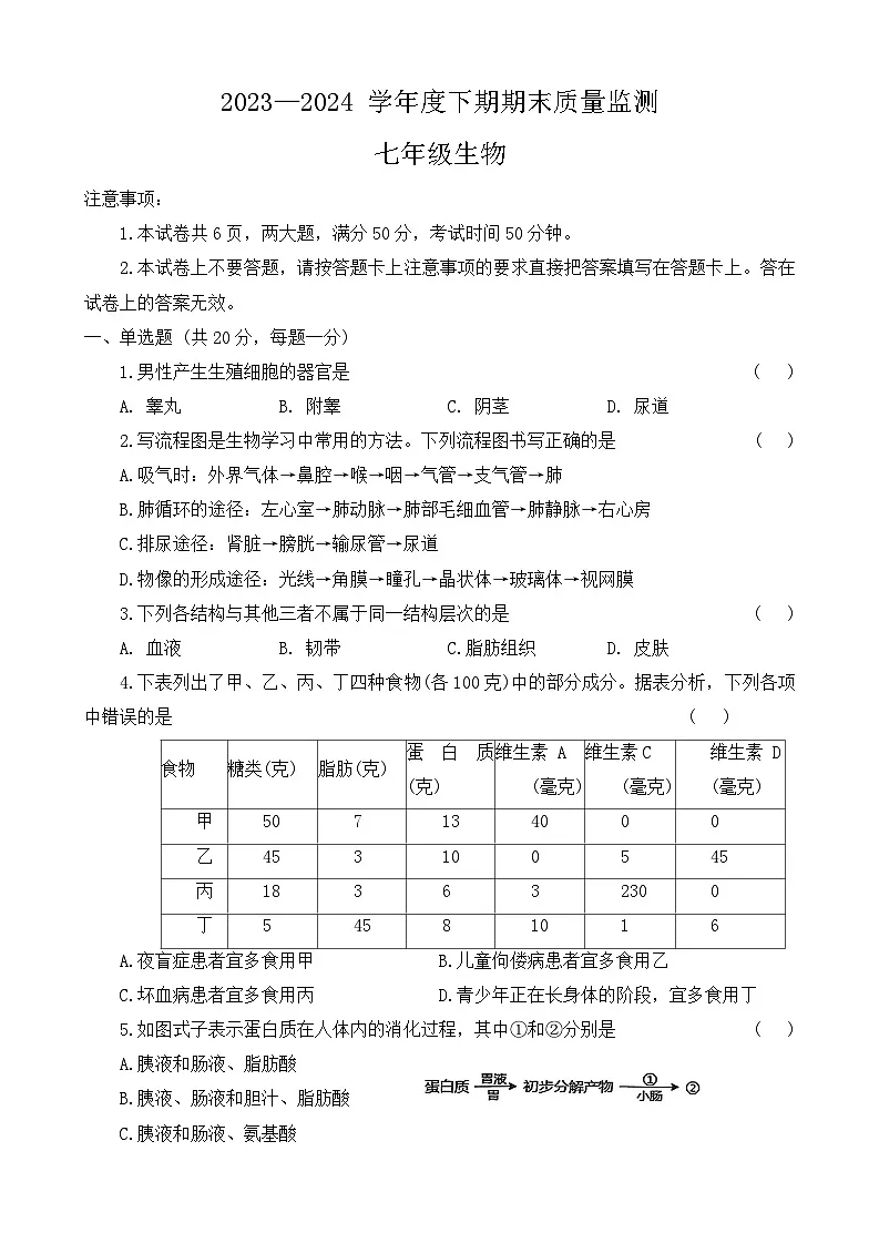 河南省周口市2023-2024+学年七年级下学期期末质量监测生物试卷第1页