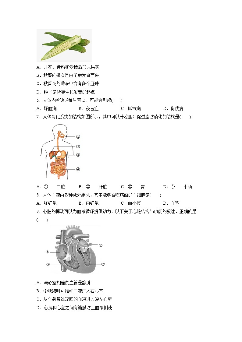 2025年北京市朝阳区中考真题生物试卷（学生版）第2页