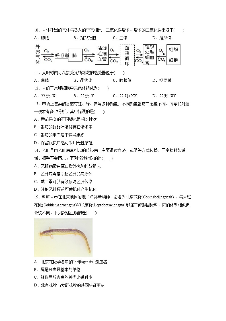2025年北京市朝阳区中考真题生物试卷（学生版）第3页