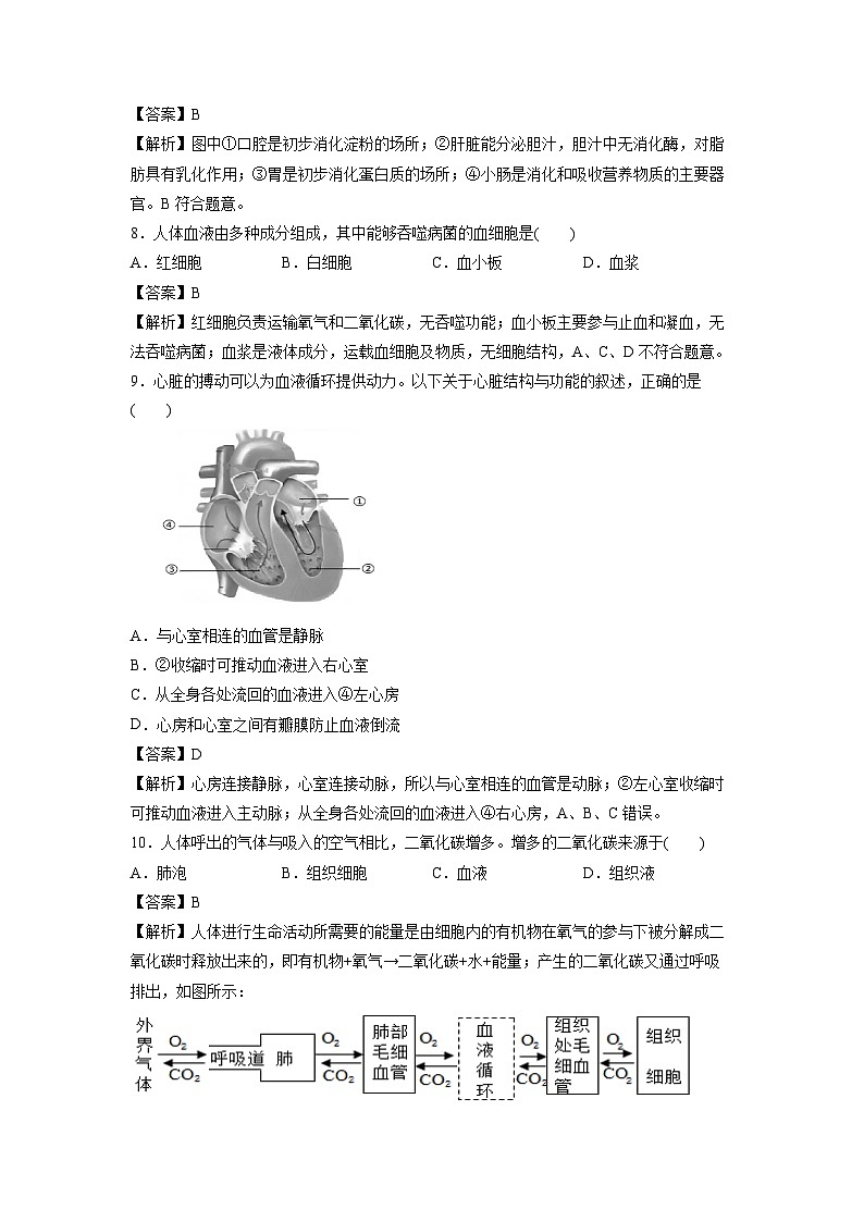 2025年北京市朝阳区中考真题生物试卷（解析版）第3页