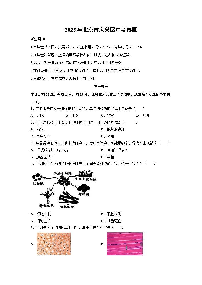 2025年北京市大兴区中考真题生物试卷（学生版）第1页