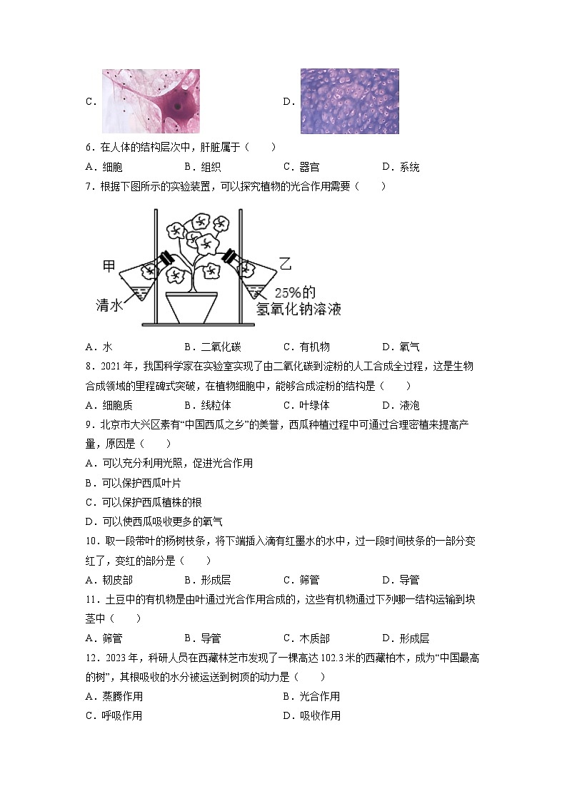 2025年北京市大兴区中考真题生物试卷（学生版）第2页