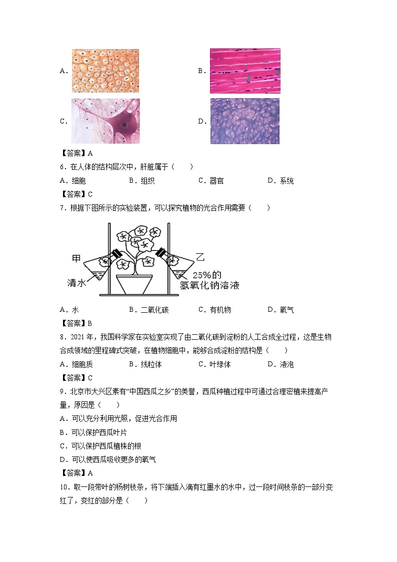 2025年北京市大兴区中考真题生物试卷（解析版）第2页