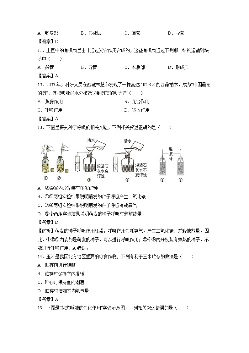 2025年北京市大兴区中考真题生物试卷（解析版）第3页