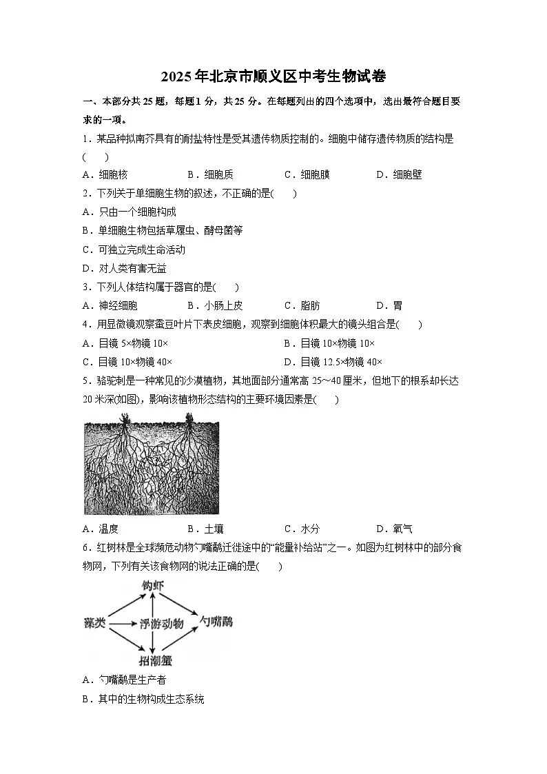 2025年北京市顺义区中考生物试卷（学生版）第1页
