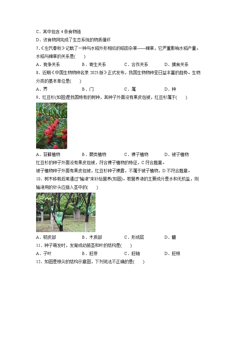 2025年北京市顺义区中考生物试卷（学生版）第2页