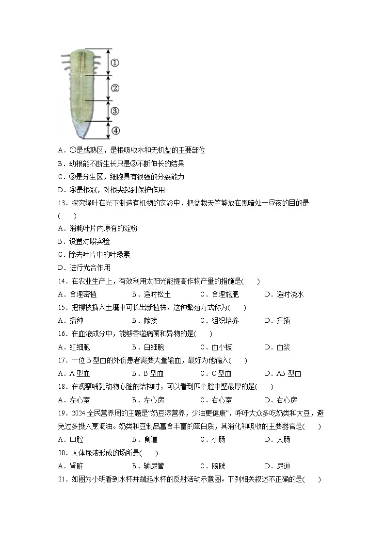 2025年北京市顺义区中考生物试卷（学生版）第3页