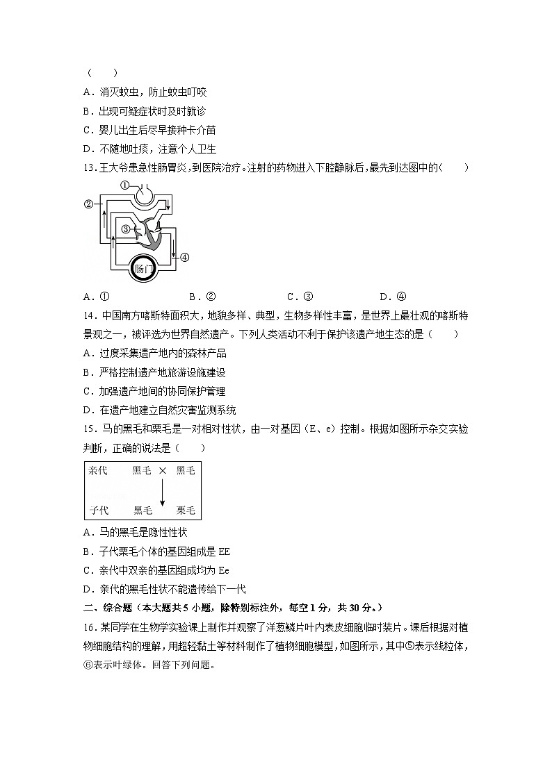 2025年广西中考生物试卷（学生版）第3页