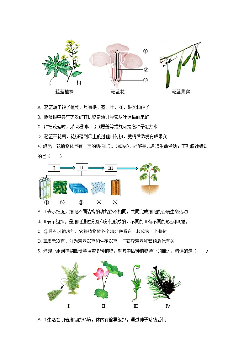 2025年山东省泰安市中考真题生物试卷（学生版）第2页