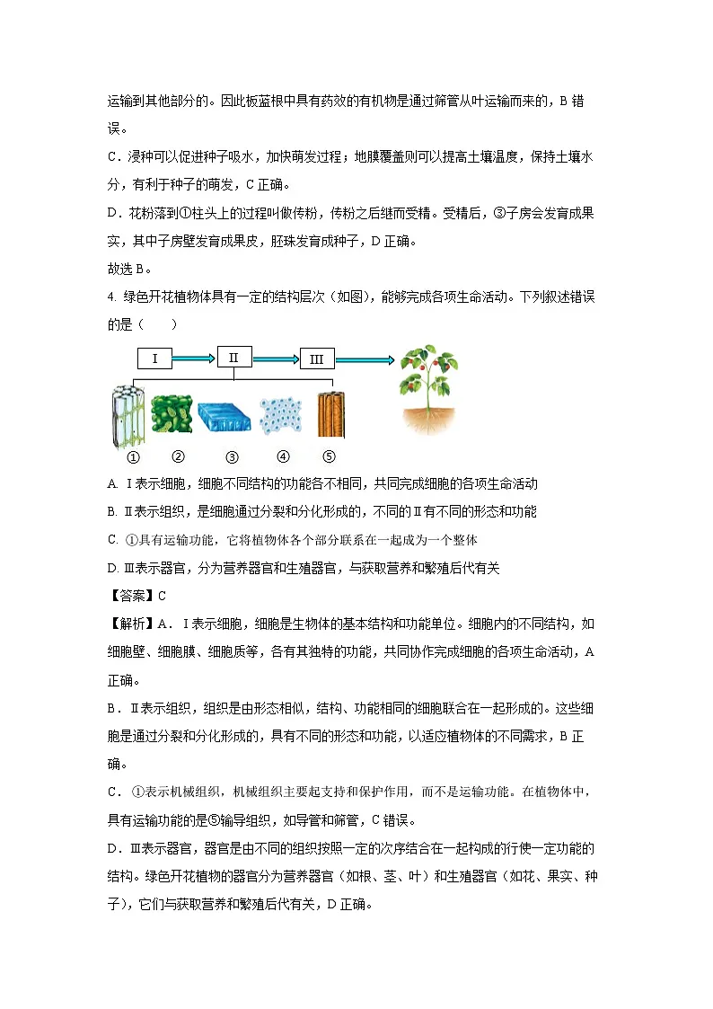 2025年山东省泰安市中考真题生物试卷（解析版）第3页