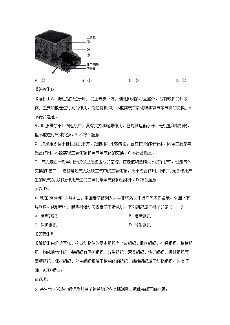 2025年四川省成都市中考真题生物试卷（解析版）第3页