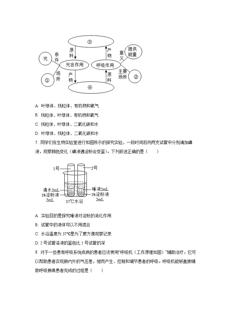2025年四川省成都市中考真题生物试卷（学生版）第3页