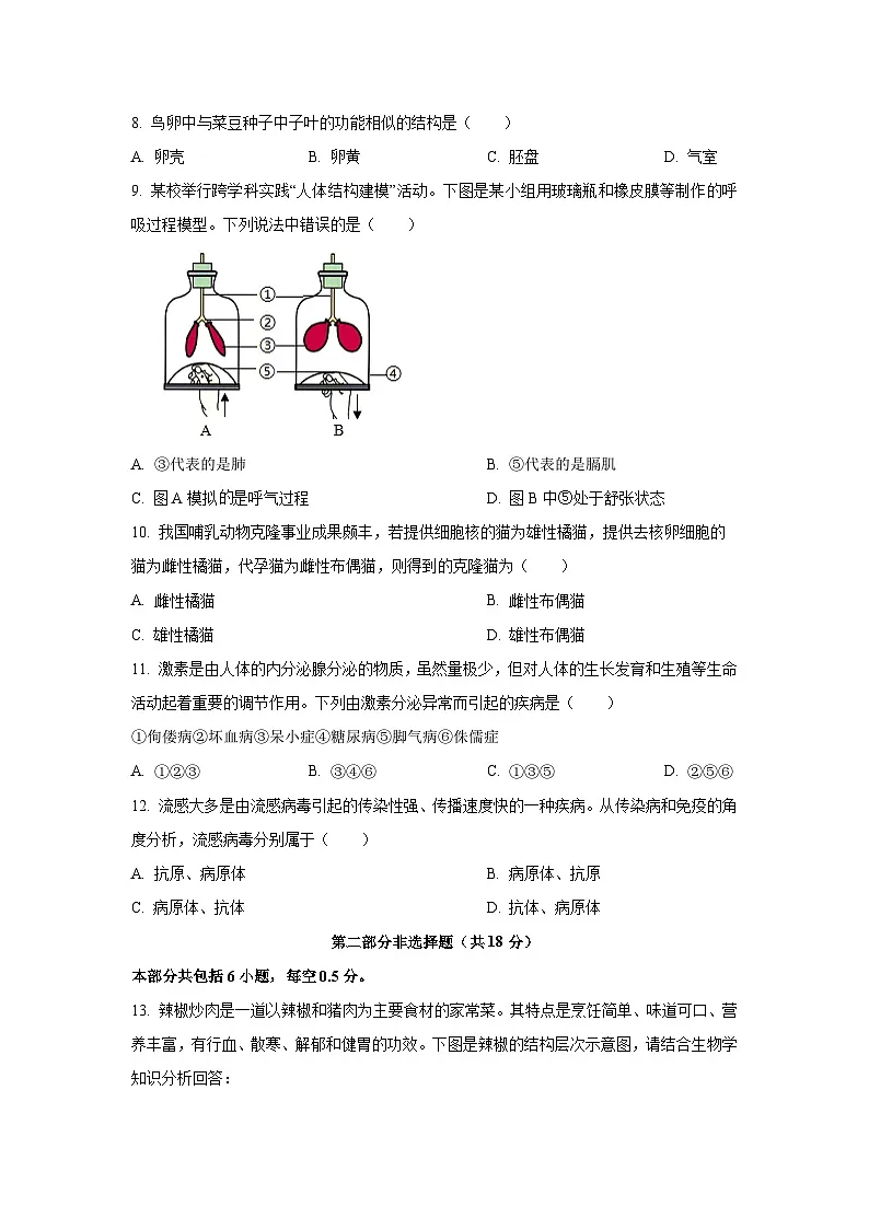 2025年辽宁省沈阳市铁西区中考零模生物试卷（学生版）第2页
