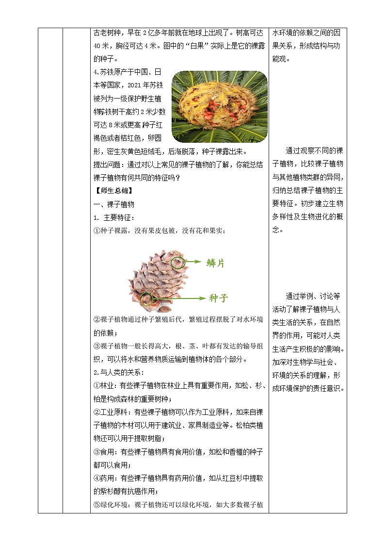 2.3.2 种子植物（教学设计）生物苏教版2024七年级上册-A4第3页