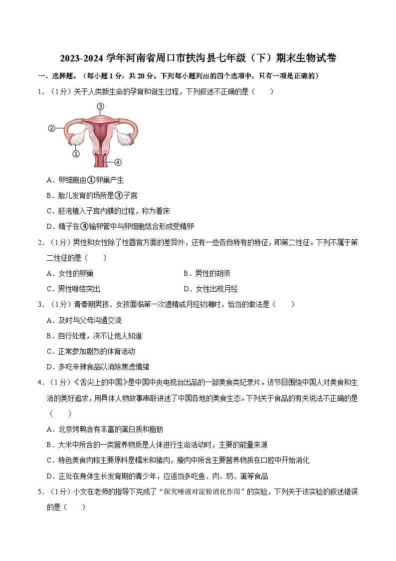 河南省周口市扶沟县2023-2024学年七年级下学期期末考试生物试卷第1页