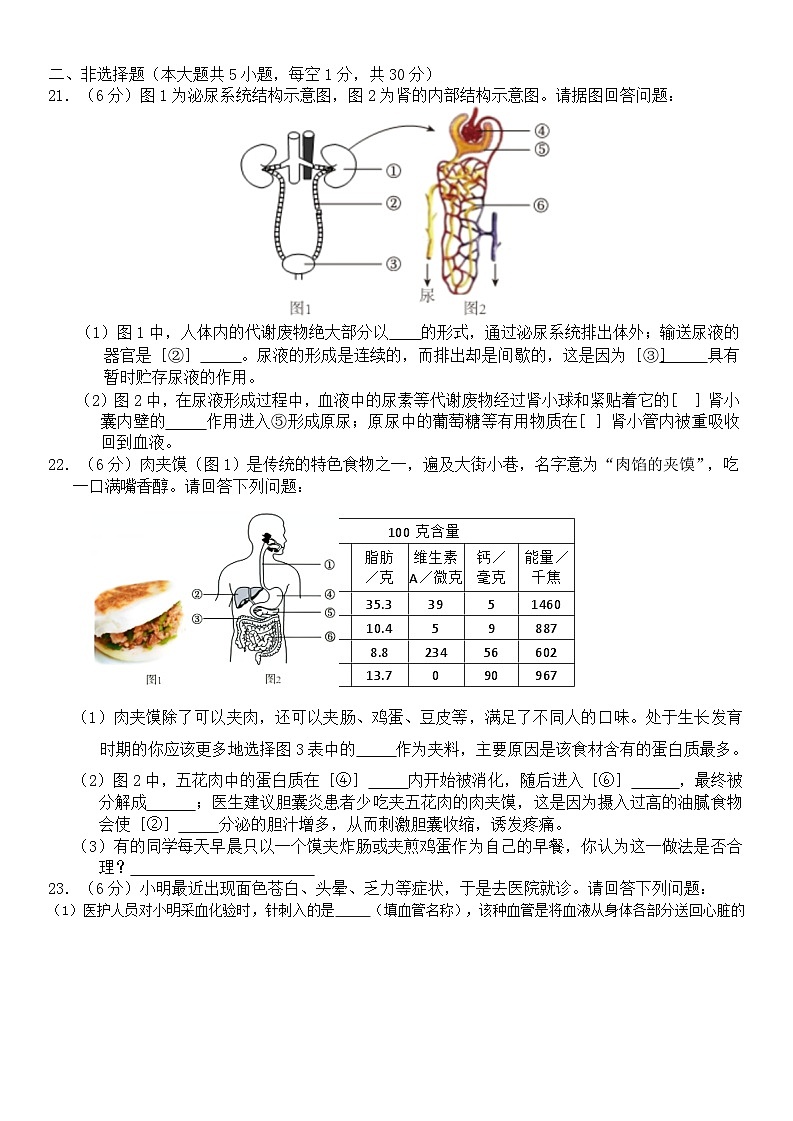 河南省周口市商水县2023-2024学年七年级下学期期末生物试题第3页