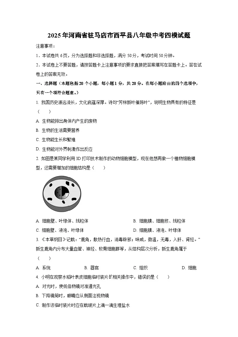2025年河南省驻马店市西平县八年级中考四模生物试卷（学生版）第1页