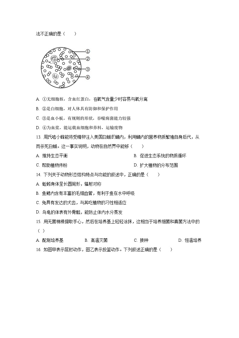 2025年河南省周口市郸城县乡镇部分学校中考模拟生物试卷（学生版）第3页