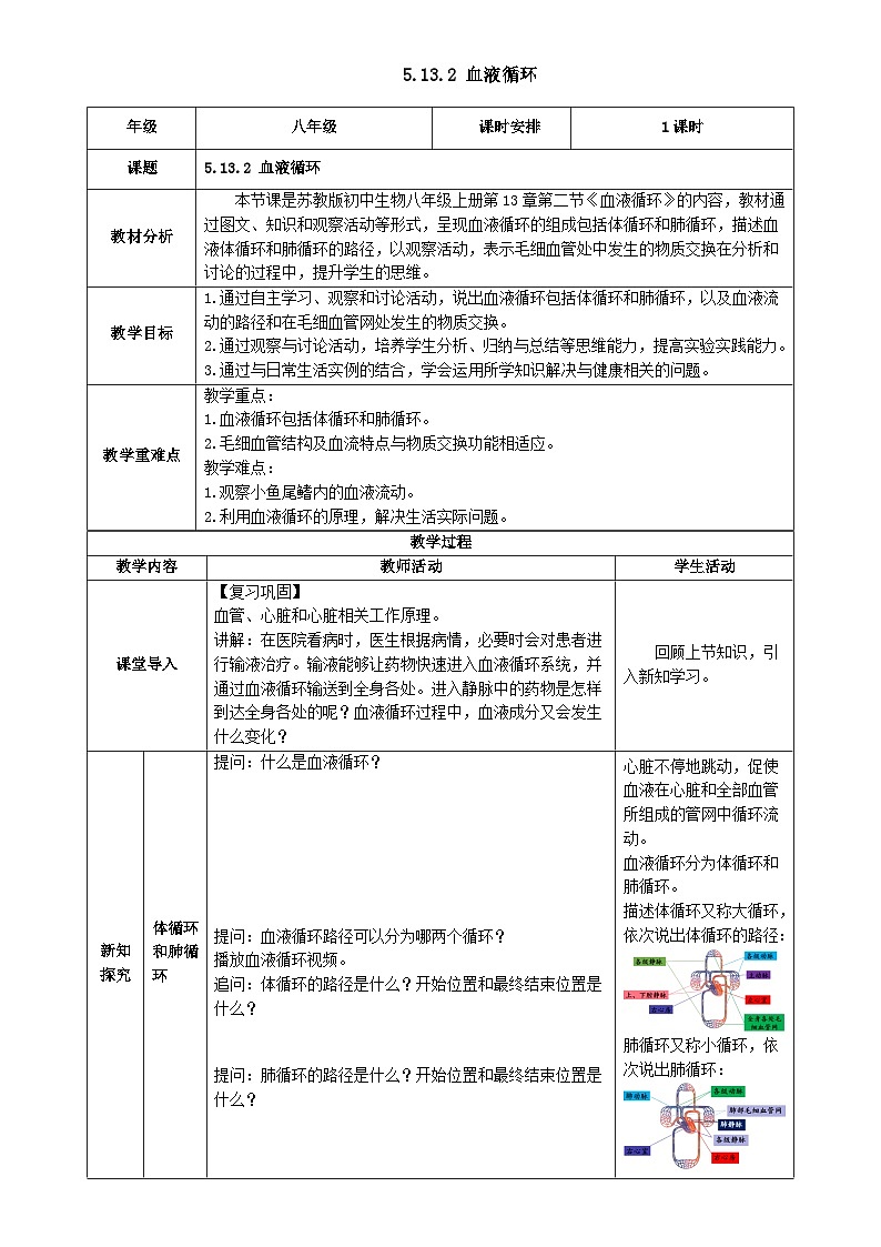 5.13.2 血液循环（教学设计）生物苏教版2024八年级上册-A4第1页