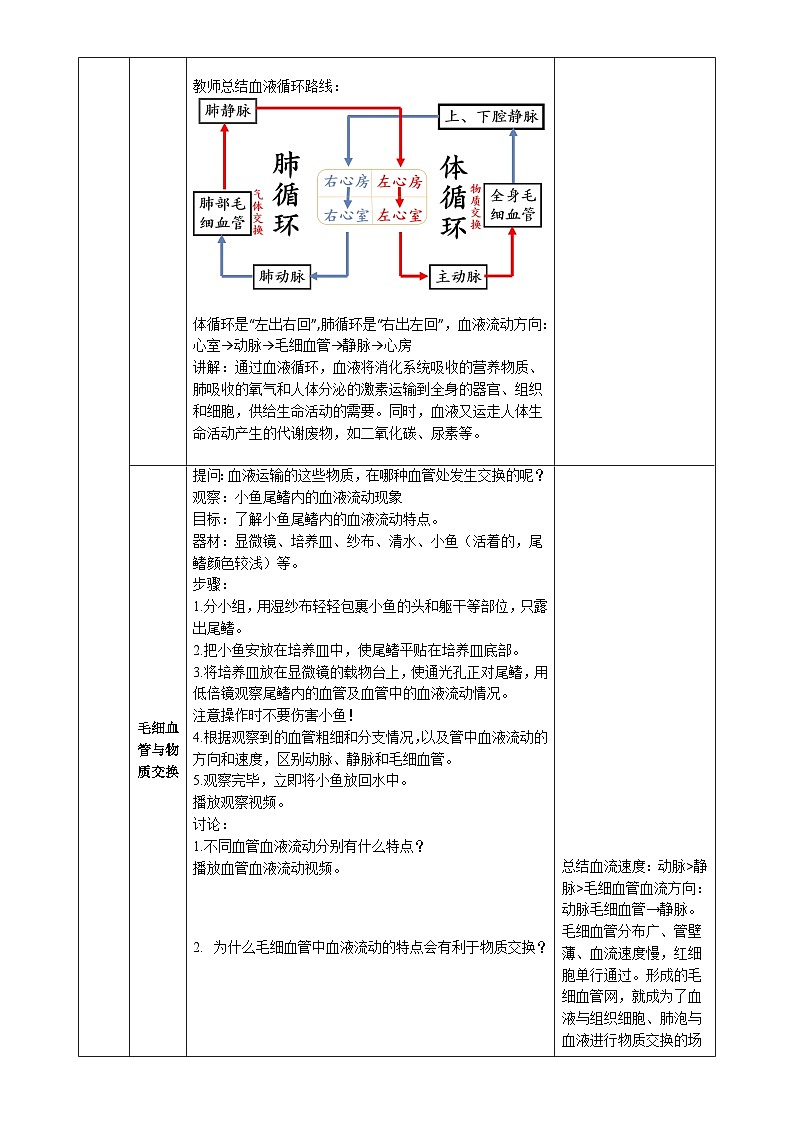 5.13.2 血液循环（教学设计）生物苏教版2024八年级上册-A4第2页