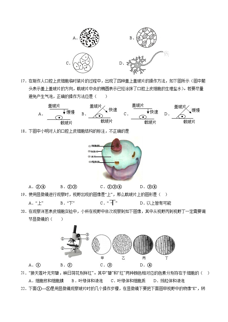 学易金卷：七年级生物上学期第一次月考卷02【测试范围：第1章到第2章】（考试版）第3页
