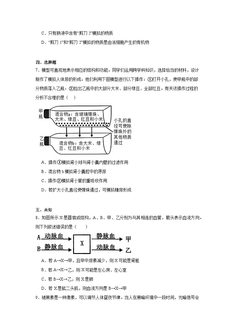2025年山东省枣庄市初中学业水平考试生物模拟试题（无答案）第3页