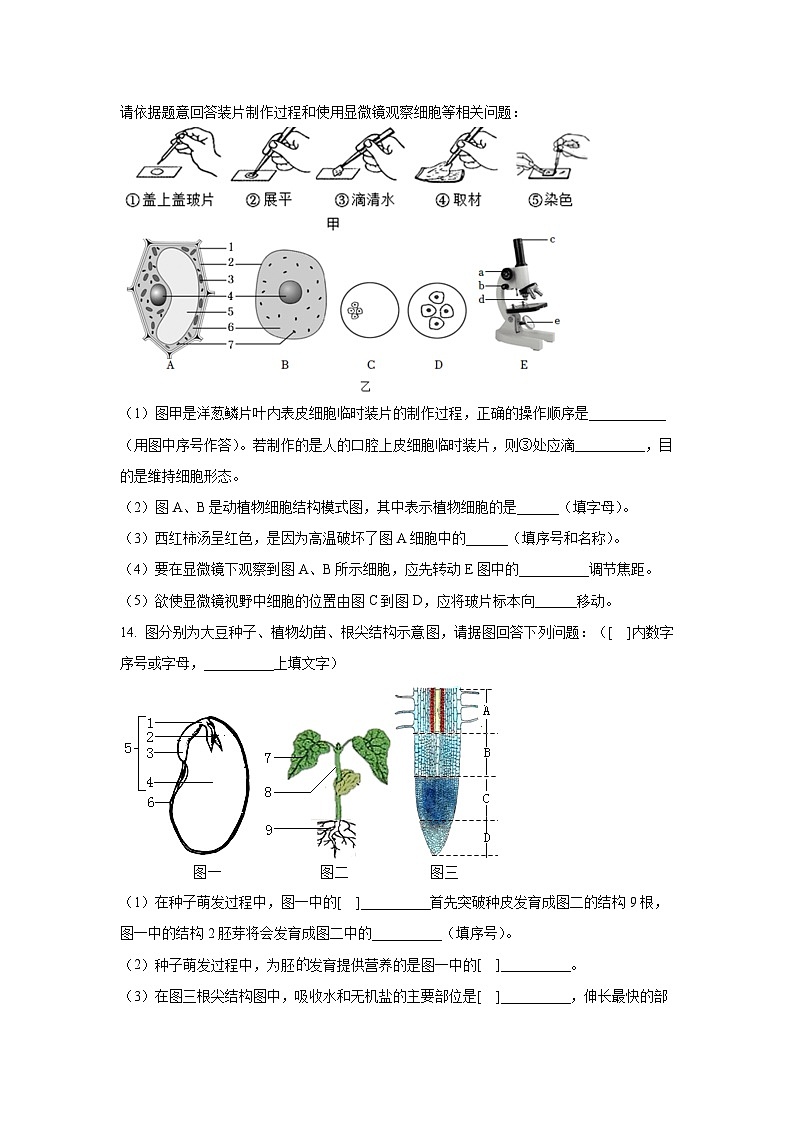 2025年辽宁省沈阳市中考适应性模拟测试生物试卷（学生版）第3页