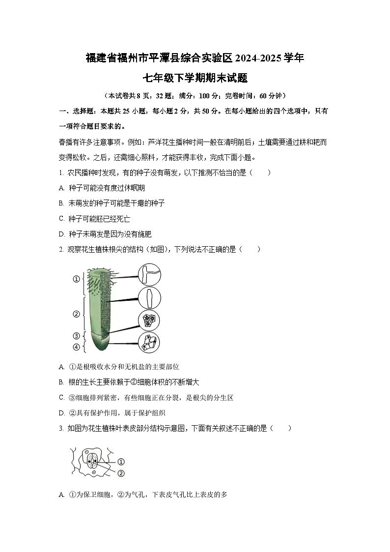 福建省福州市平潭县综合实验区2024-2025学年七年级下学期期末生物试卷（学生版）第1页