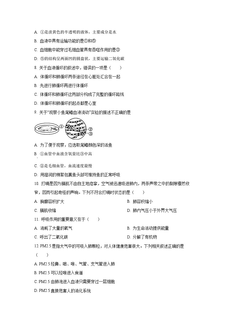 广东省揭阳市惠来县2024-2025学年七年级下学期第二次月考生物试卷（学生版）第2页