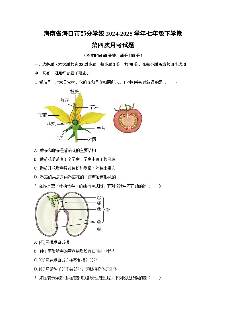 海南省海口市部分学校2024-2025学年七年级下学期第四次月考生物试卷（学生版）第1页