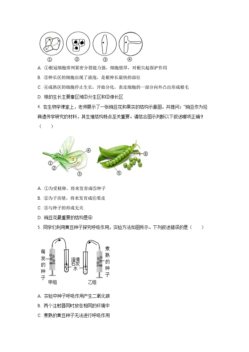 海南省海口市部分学校2024-2025学年七年级下学期第四次月考生物试卷（学生版）第2页