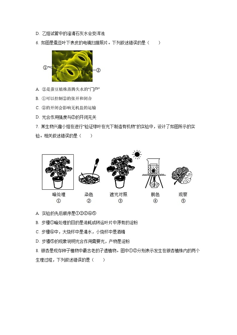 海南省海口市部分学校2024-2025学年七年级下学期第四次月考生物试卷（学生版）第3页