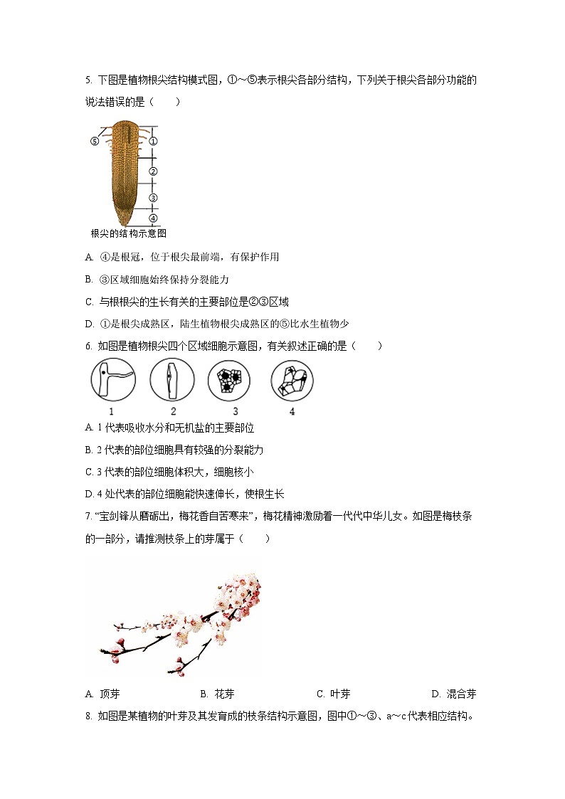 海南省海口市部分学校2024-2025学年七年级下学期第三次月考生物试卷（学生版）第2页