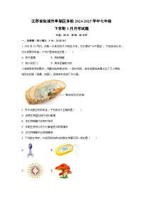 江苏省盐城市亭湖区多校2024-2025学年七年级下学期3月月考生物试卷(学生版)