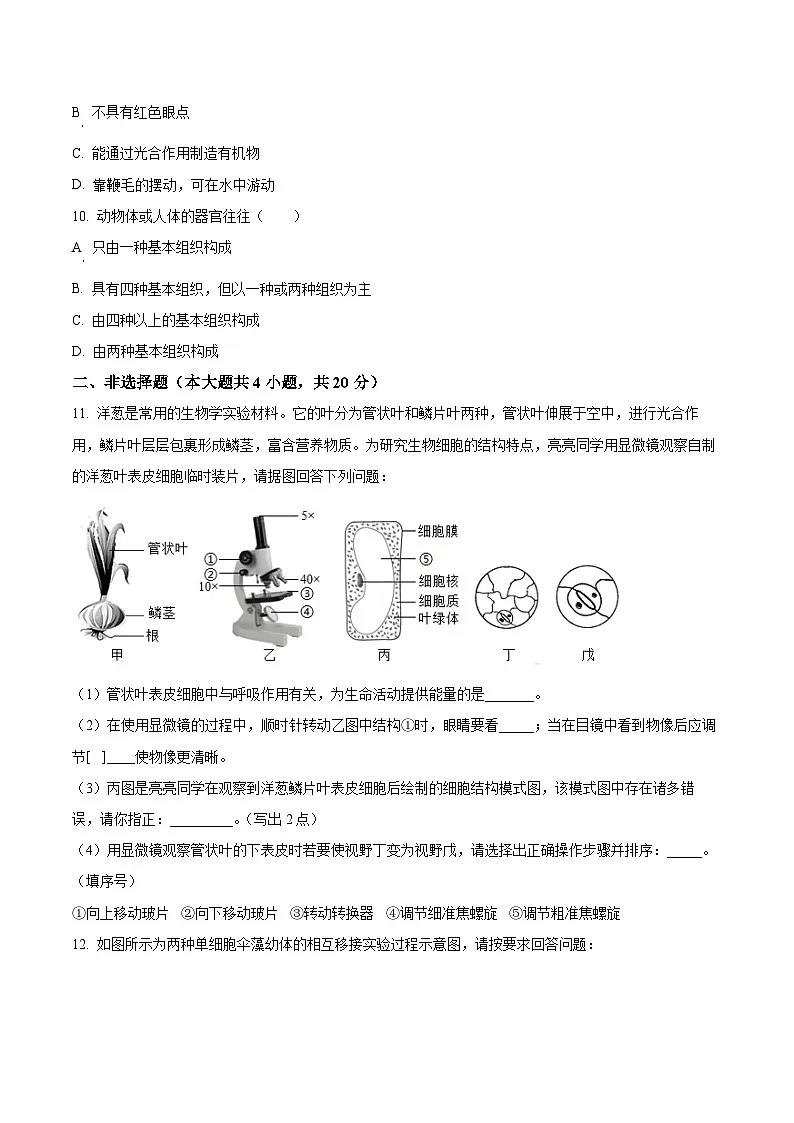 【7生（SJ）第一次月考】滁州市天长市2024-2025学年七年级上学期10月月考生物试卷第3页
