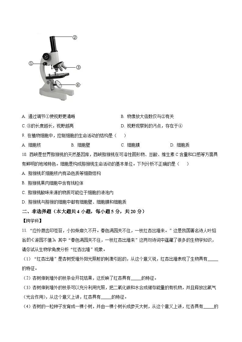 【7生（BS）第一次月考】阜阳市阜南县2024-2025学年七年级上学期第一次月考生物学试卷第3页
