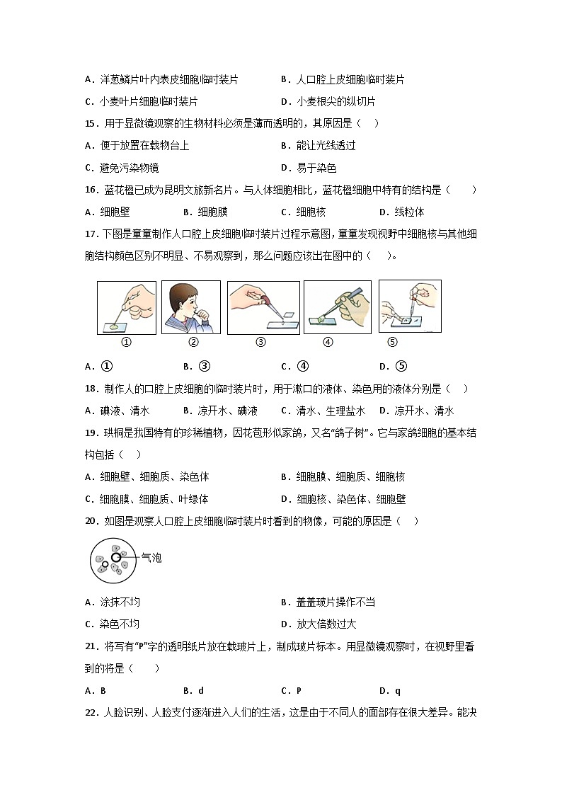 【7生（RJ）第一次月考】六安市霍邱县2024-2025学年七年级10月月考生物学试卷第3页