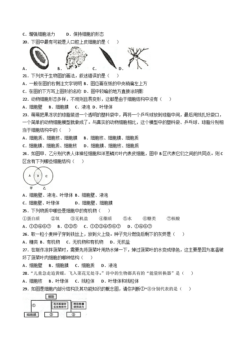 【7生（RJ）第一次月考】蚌埠市蚌山区G5教育联盟2024-2025学年七年级上学期10月月考生物试卷第3页