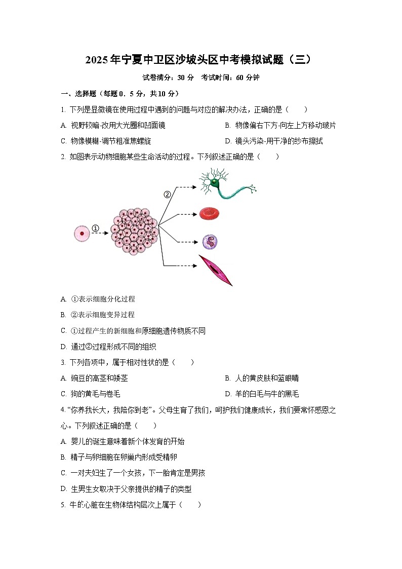 2025年宁夏中卫区沙坡头区中考模拟（三）生物试卷（学生版）第1页