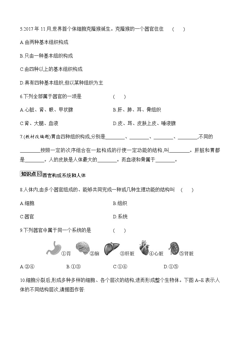【新教材】初中生物学人教版七年级上册-1.3.2 动物体的结构层次 同步练习（含答案）第2页