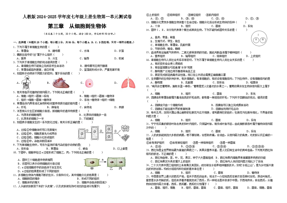 【新教材】初中生物学人教版七年级上册-第一单元第三章 从细胞到生物体 测试卷（含答案）第1页