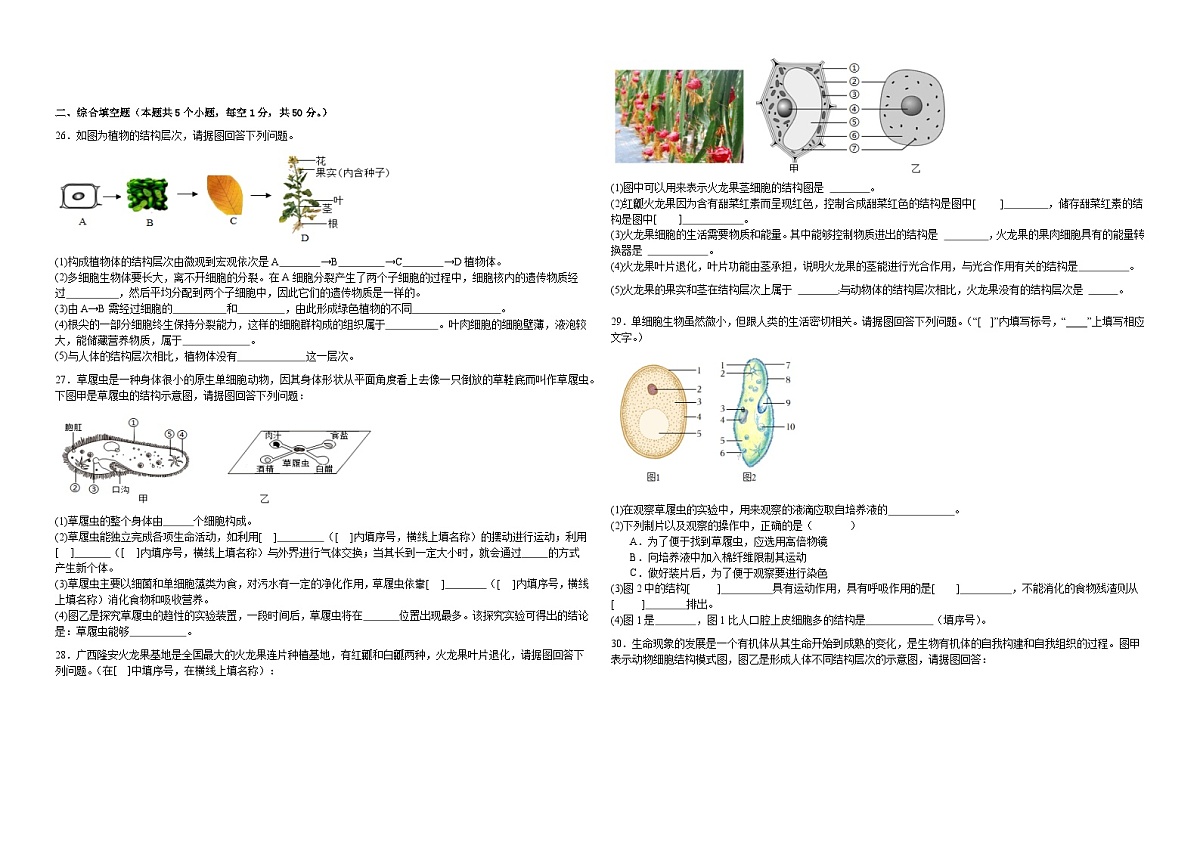 【新教材】初中生物学人教版七年级上册-第一单元第三章 从细胞到生物体 测试卷（含答案）第2页