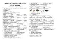 人教版（2024）七年级上册（2024）动物的类群精品练习题