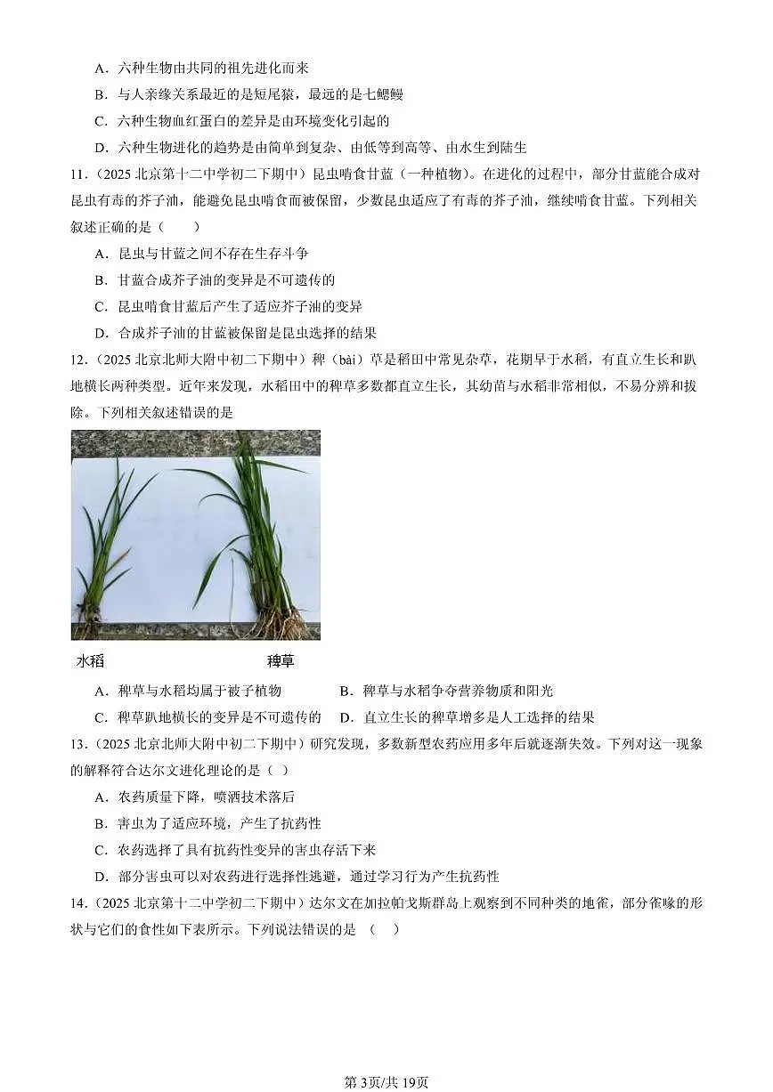 2025北京重点校初二（下）期中生物汇编：生命起源和生物进化章节综合 有答案解析第3页