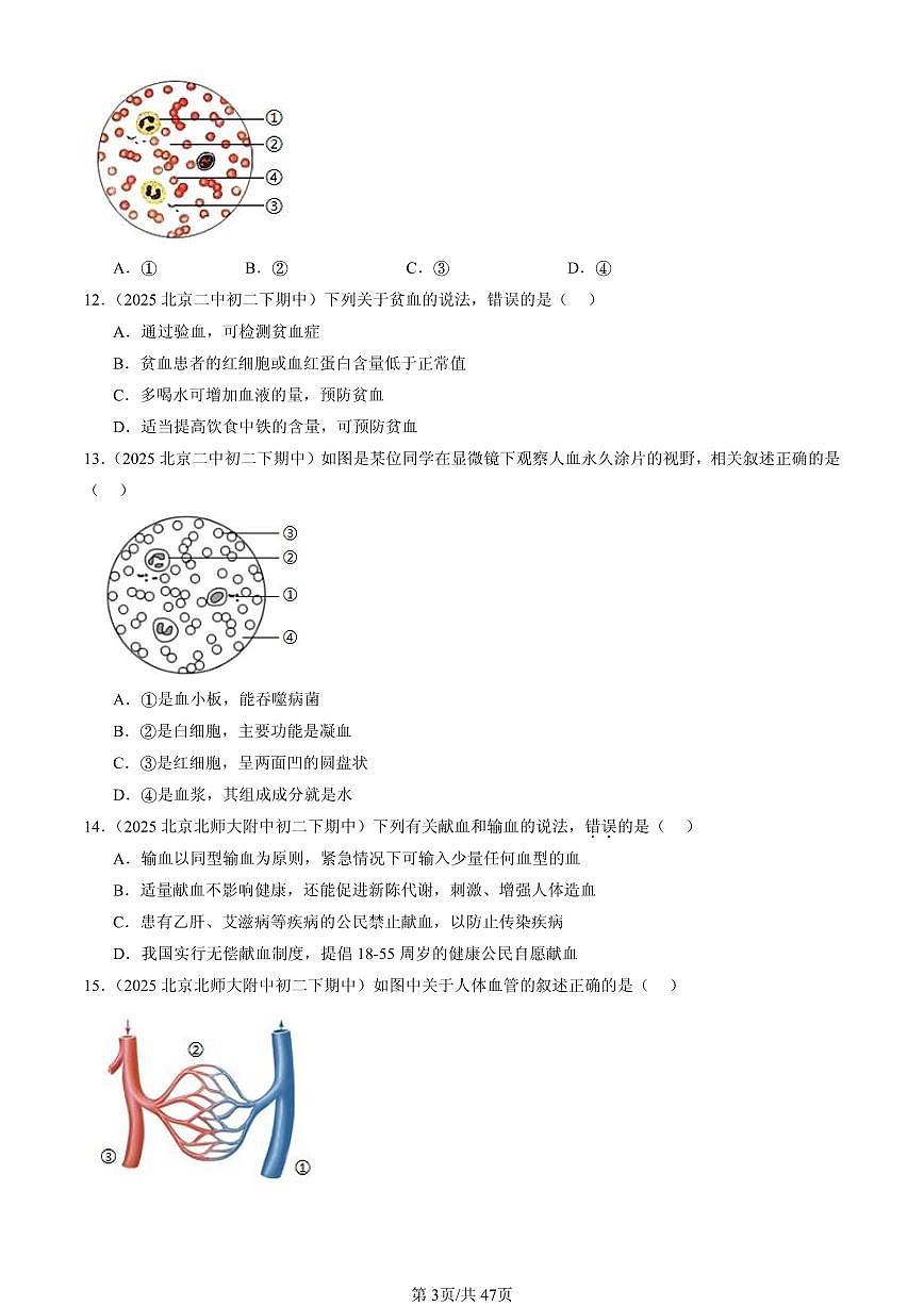 2023-2025北京重点校初一（下）期中生物汇编：生物体内的物质运输章节综合（京改版） 有答案解析第3页