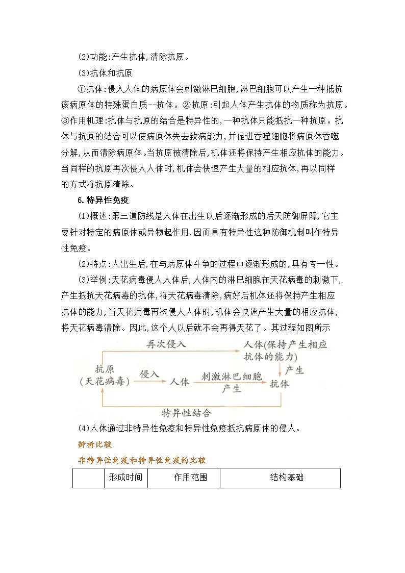 专题06 免疫与免疫规划（word） 八上生物 人教版2024 期中复习 知识点+习题.（原卷版）第3页